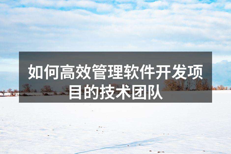 软件团队会议