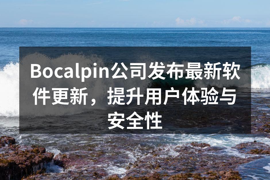 Bocalpin软件界面优化截图