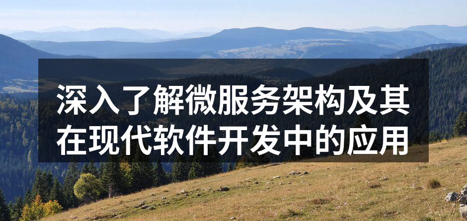 微服务架构示意图