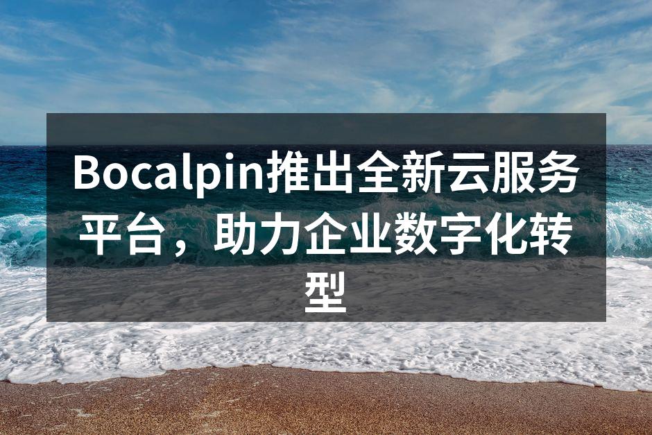 Bocalpin云服务平台界面截图