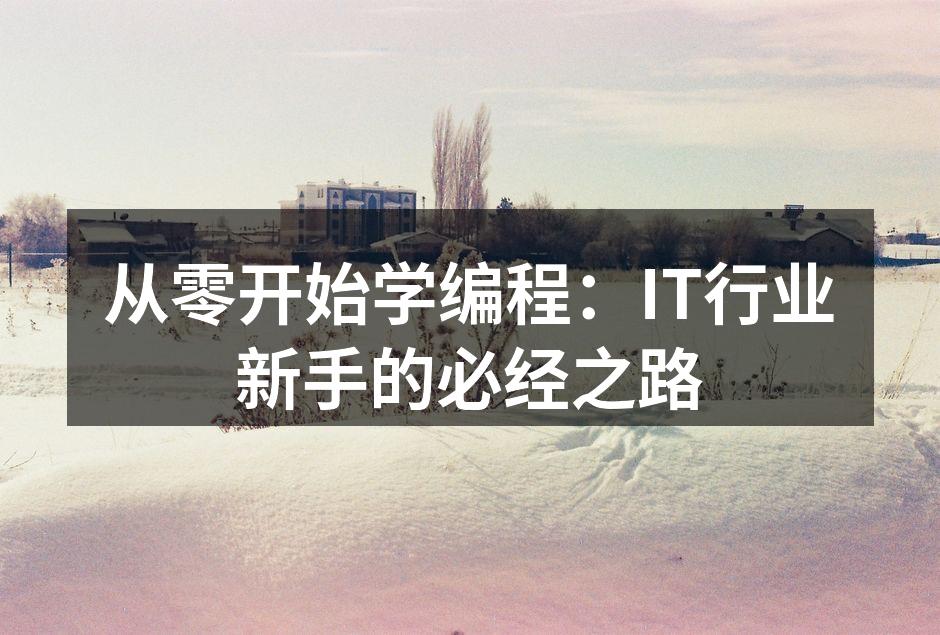 编程学习的基础知识