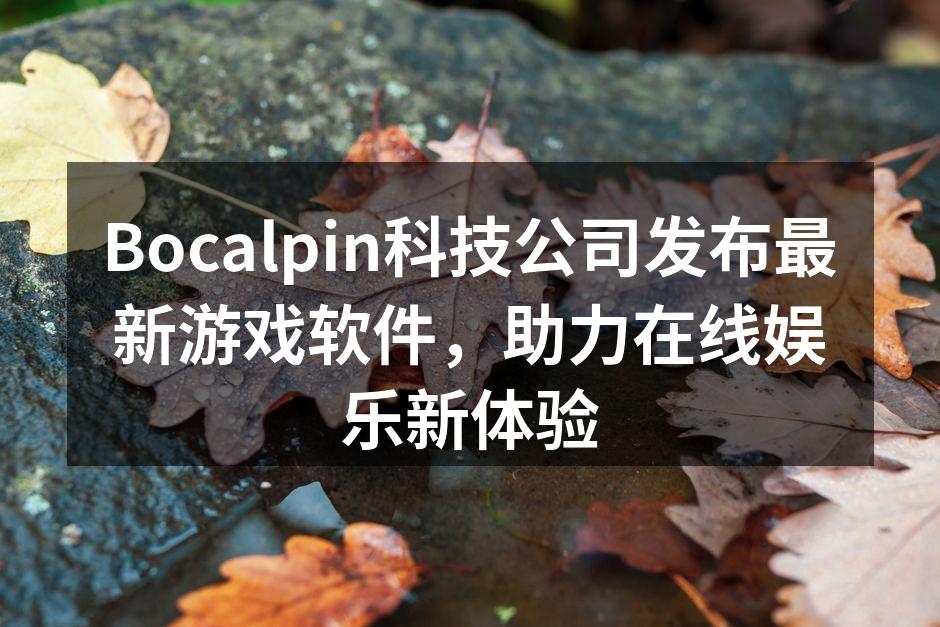 Bocalpin新游戏软件发布会现场